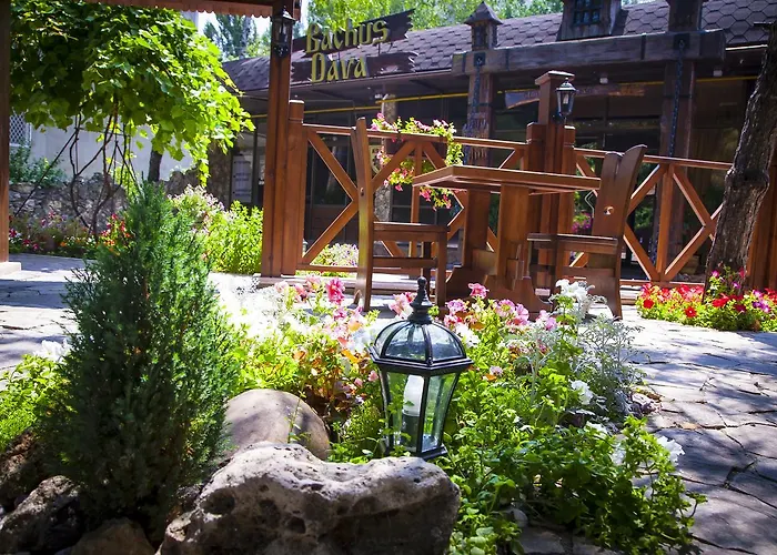 Hotel Bachus