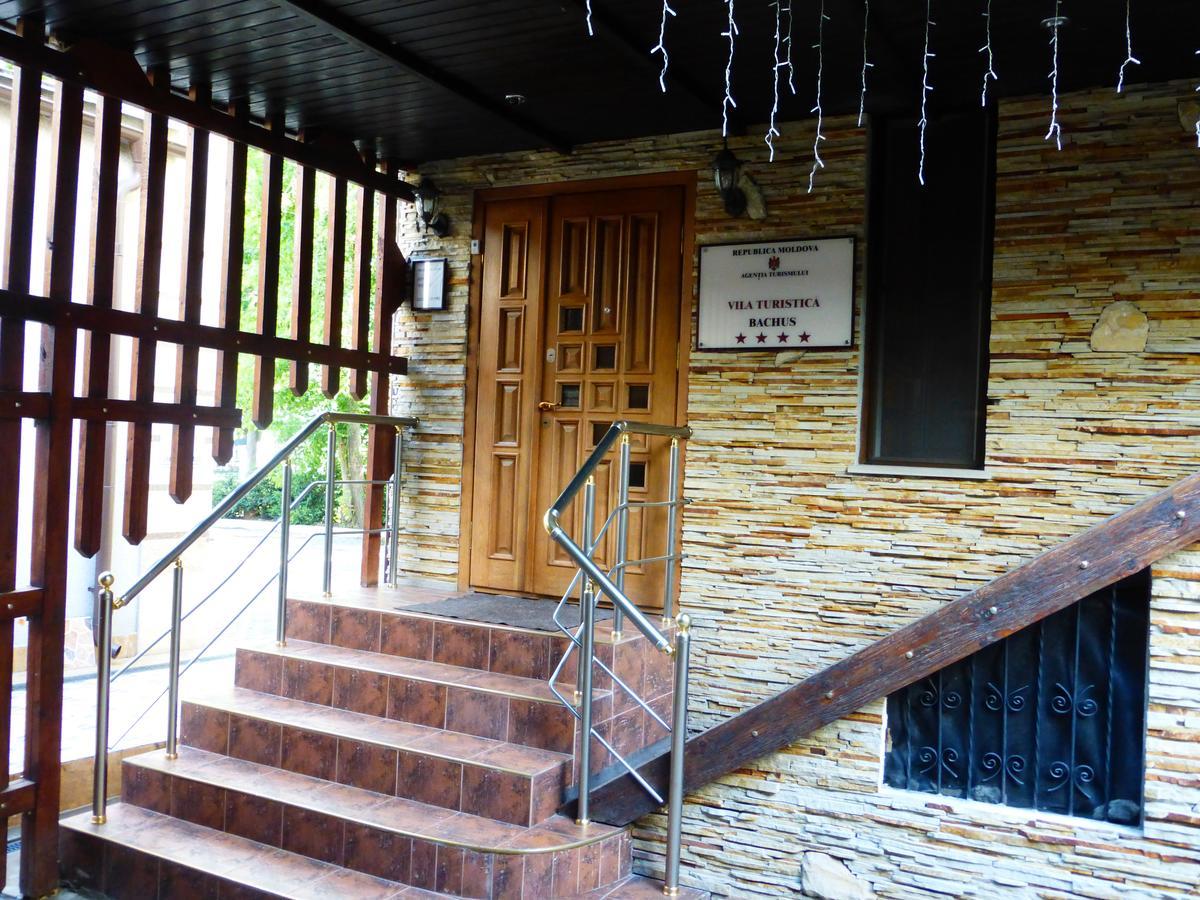 Bachus Hotel